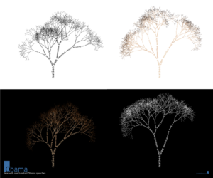 Obama Tree